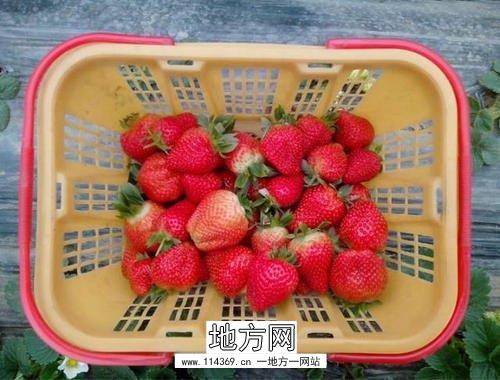 杜山草莓