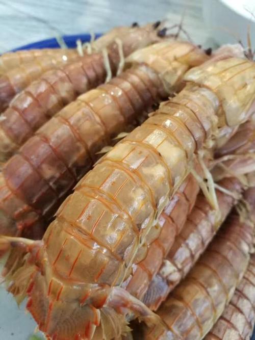 渤海湾皮皮虾