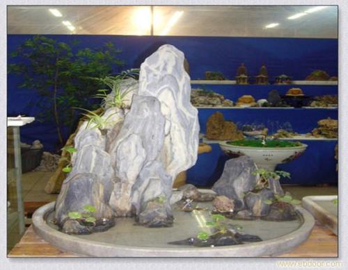孟河斧劈石盆景